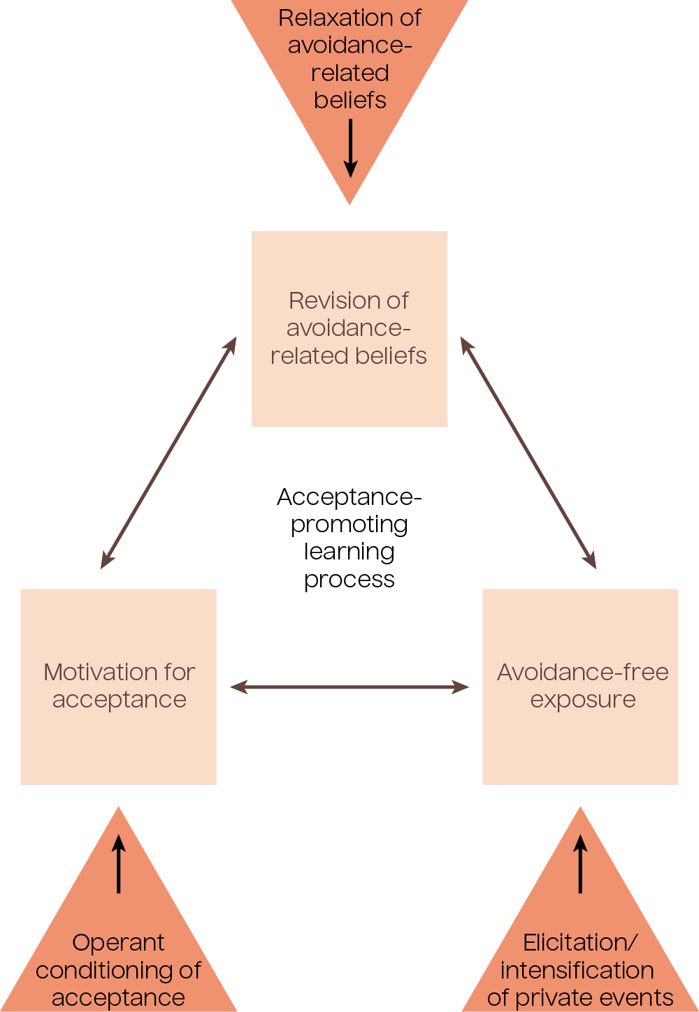 Diagram demonstrating psychedelic-therapy-specific factors facilitating the learning process. Acceptance-promoting learning process has three interworking factors: motivation for acceptance which is dependent on the operant conditioning of acceptance, avoidance-free exposure dependent on the elicitation and intensification of private events, and revision of avoidance-related beliefs dependent on relaxation of avoidance-related beliefs.